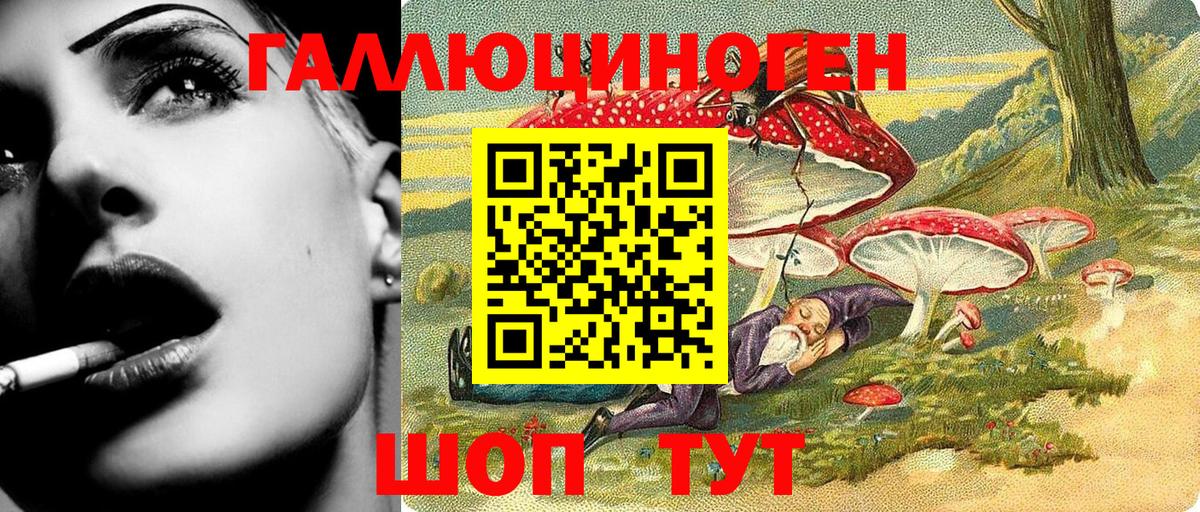 Анжеро-Судженск  Галлюциногенные грибы прущие грибы  Вход с VPN 